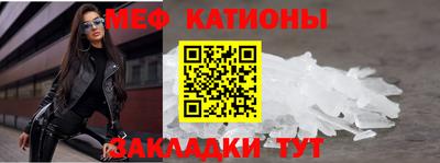 кокс Кингисепп