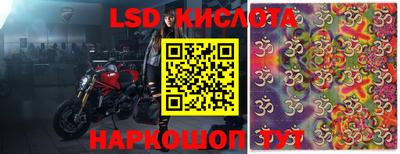 кокс Кингисепп