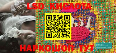 кокс Кингисепп