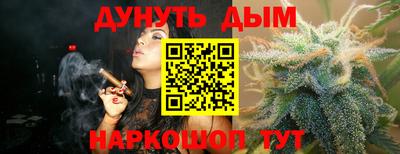 кокс Кингисепп