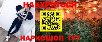 кокс Кингисепп