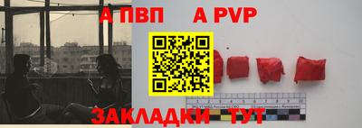 кокс Кингисепп