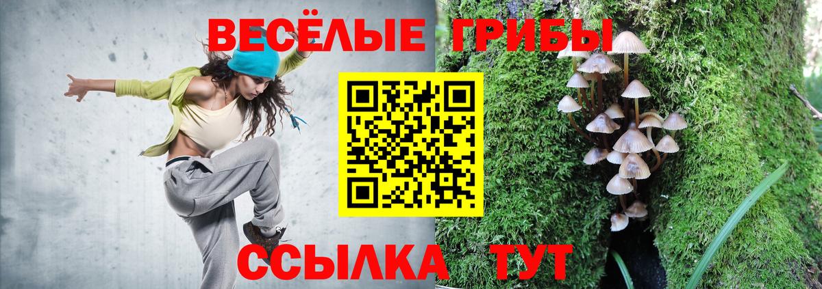 Псилоцибиновые грибы ЛСД Краснокаменск
