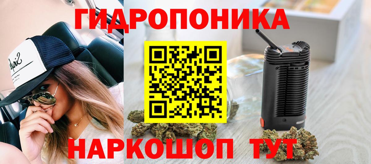 Краснокаменск  Бошки марихуана планчик  МАРИХУАНА SATIVA & INDICA  Конопля тримм  Вход с VPN 